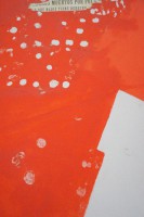 /album/fotogaleria/dsc04310-jpg/